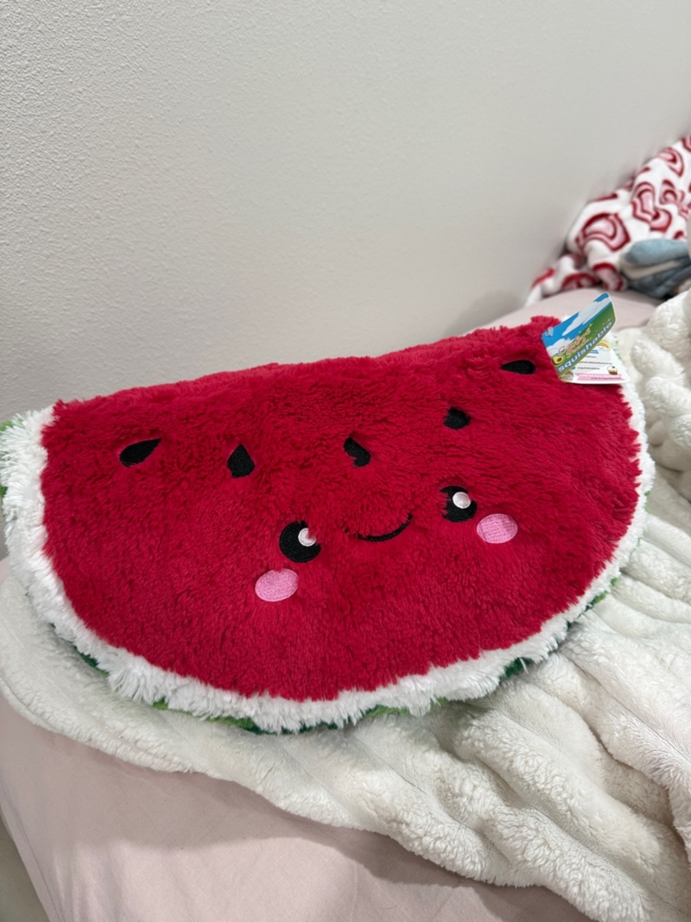 Cute Plush Watermelon Pillow - Pink/Red Kids Cushion